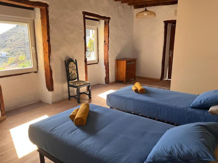 Sabinosa La Casa Del Aguacateヴィラ エクステリア 写真